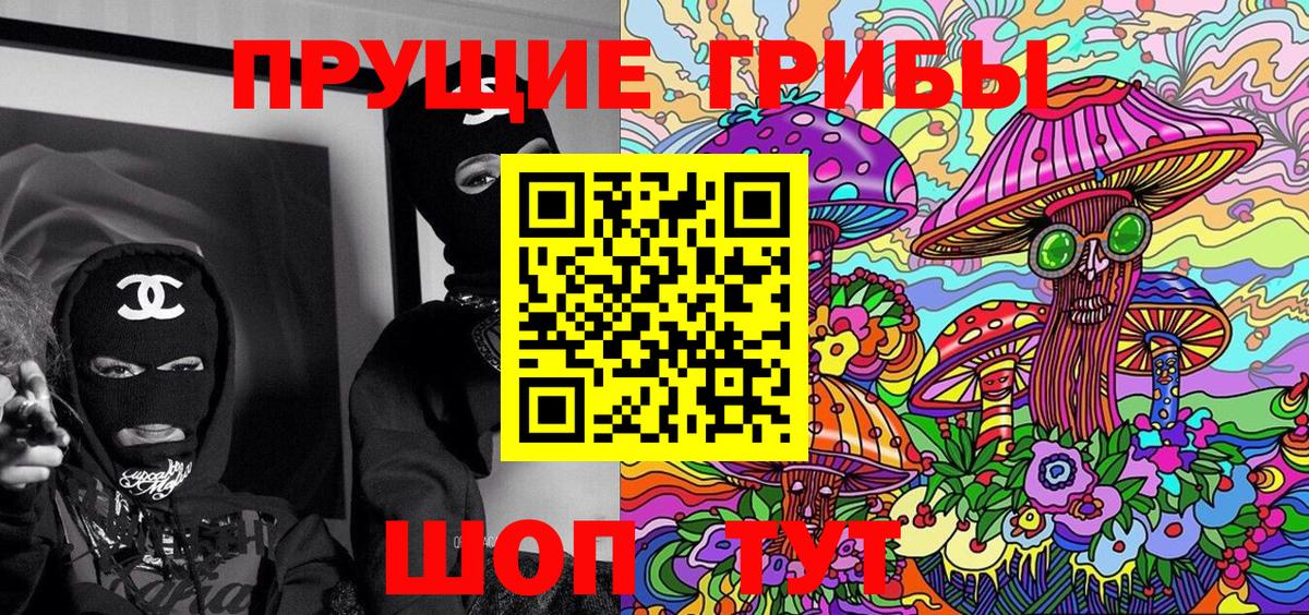 Магадан  Псилоцибиновые грибы Psilocybine cubensis  Вход с VPN 